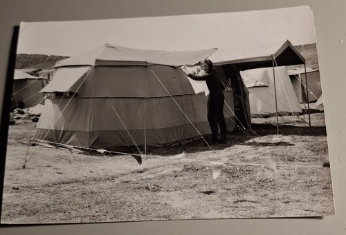 Altes foto vintage junge frau - vintage,