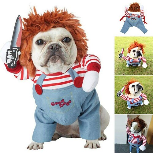 Halloween hundekostüm - halloween, –