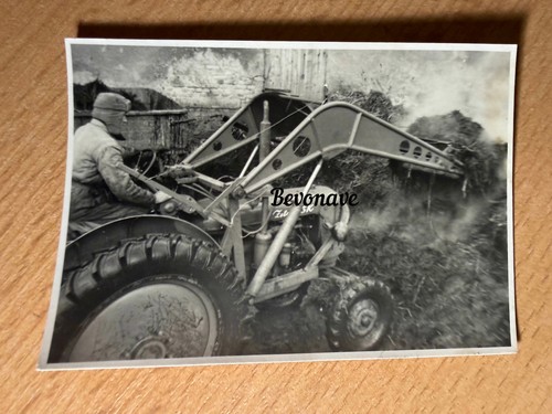 Foto zetor 1956 gut - 25,