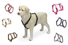 Karlie Hundegeschirr ganz