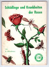 Schädlinge und Krankheiten