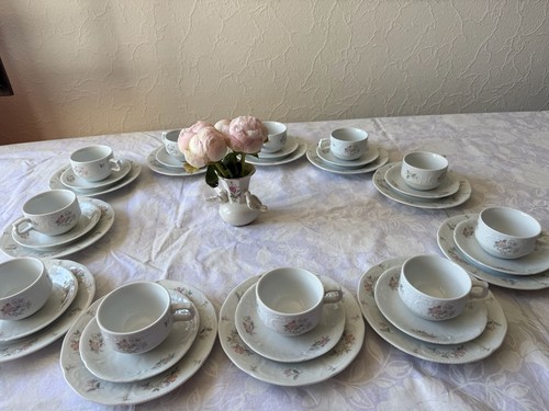 Rosenthal sanssouci germany - germany,