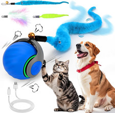 Interaktives Katzenball