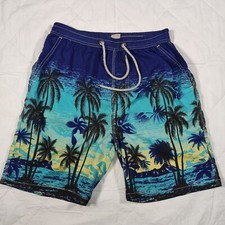  Herren  Shorts Sommer Pants Gr. M Mierfarbe Short Swimming  Vintage