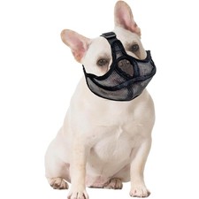 Hunde Maulkorb Französische