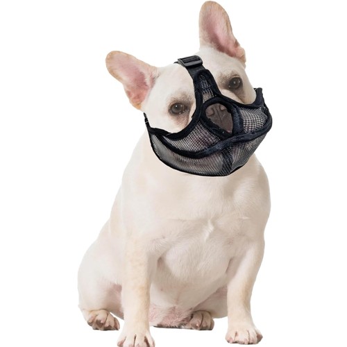 Hunde maulkorb französische - maulkorb,