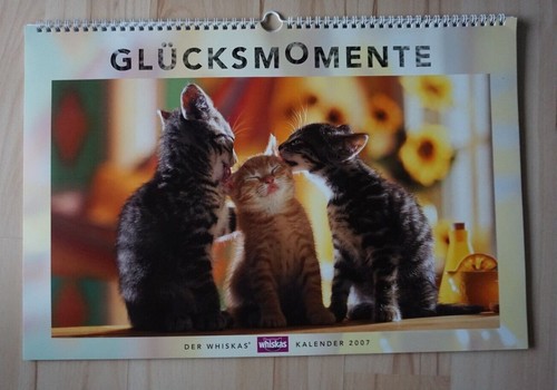 Glücksmomente katzen kalender - glücksmomente,