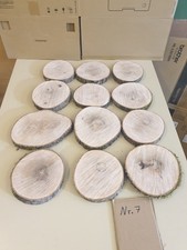 12 Stück 18-25cm Esche