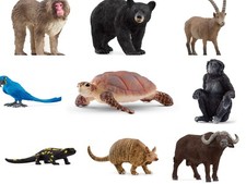 Schleich® Wild Life®  Tiere