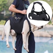 Hundetransporter älterer