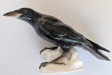 Jack der Rabe von der