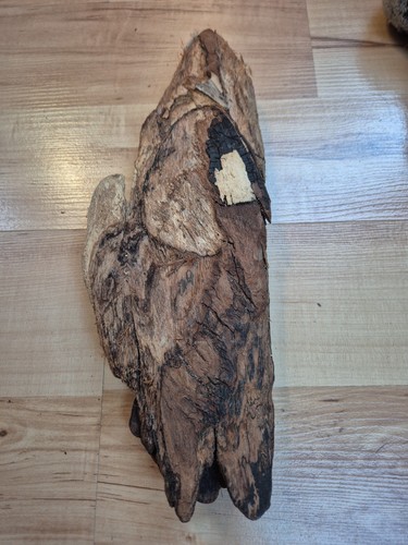 Riesig rinde platte scholle - riesig,