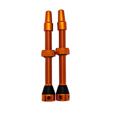 Stück tubeless ventil - 2,