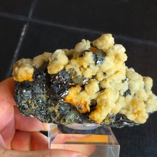 🔥VIDEO 😍sehr schöne