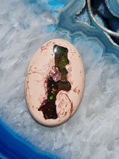 Wunderschöner Mexikanischer