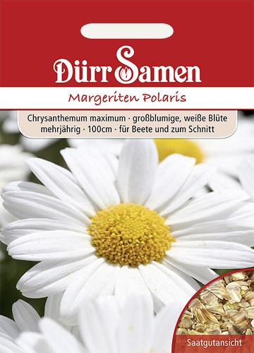 Margeriten polaris weiß - margeriten,