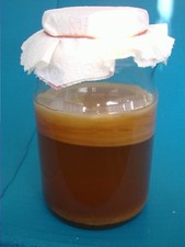 Ansatzflüssigkeit Kombucha