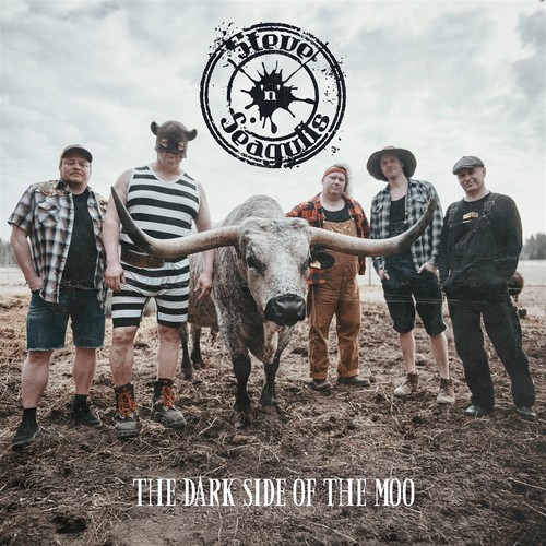 Steve seagulls the dark - steve, /