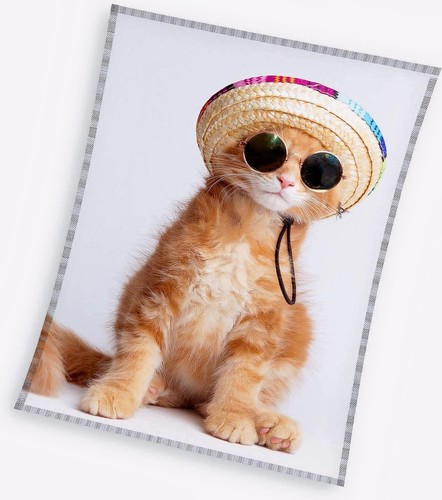 Coole katze decke fleece - -,