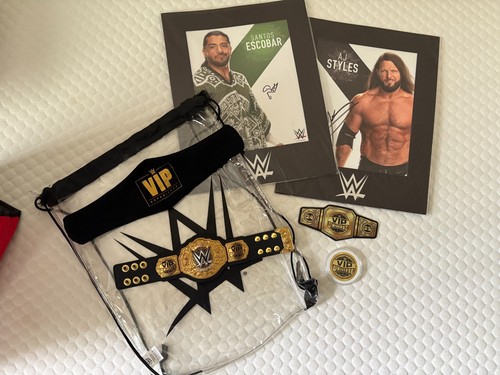 Wwe vip experience mini - experience,