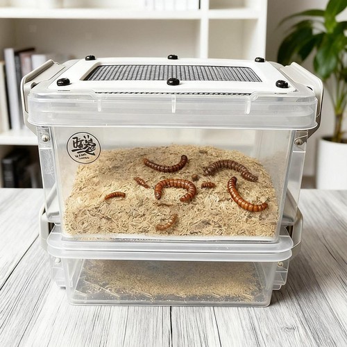 Kakerlaken-Futterbox