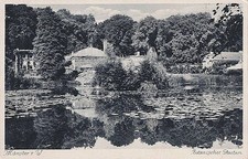 AK Münster, Botanischer Garten, ungelaufen ca. 1920iger Jahre