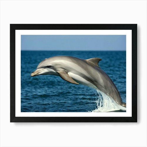 Delphin springt kunstdruck - delphin,