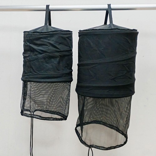 Bienenkäfig schwarm schwarze - bienenkäfig-schwarm,,