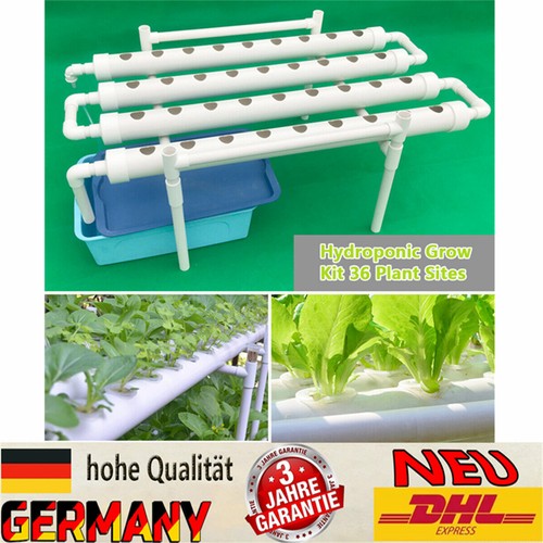 Hydroponic grow kit system - hydroponic, 1