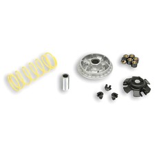 Variomatik Vario Malossi