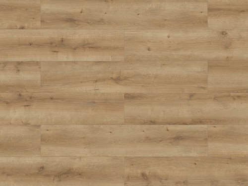 Designboden trend ceramin - trend,