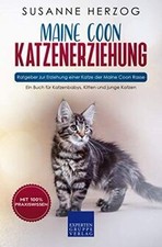 Maine Coon Katzenerziehung -