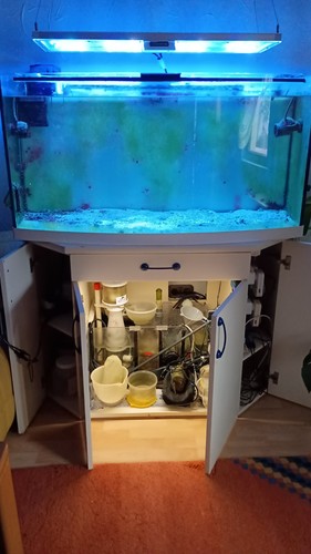 Meerwasser aquarium - meerwasser,