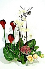 Exkl. Orchidee Kunstblume