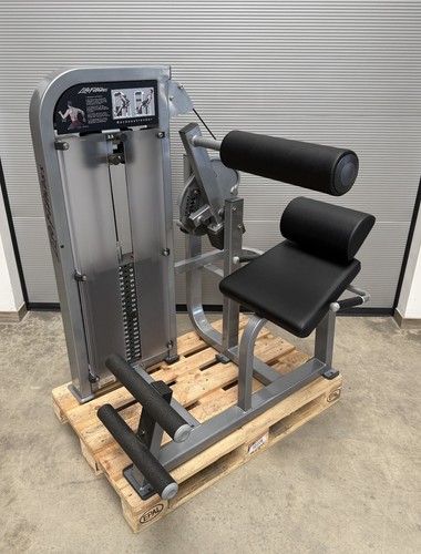 Life fitness rückenstrecker - life,