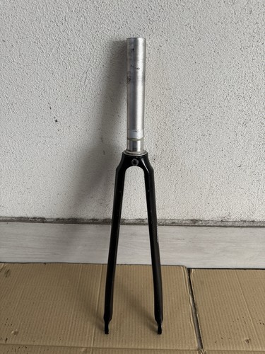 Fondriest domina mizuno - fondriest, by