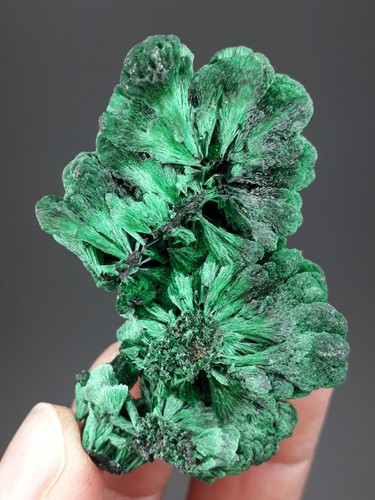 Malachit mindingi mine - -,