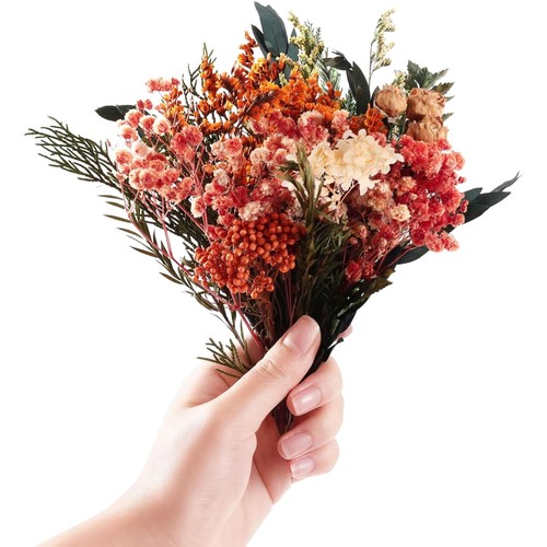 Mini trockenblumen set - set, dried