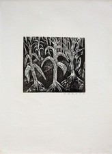 Fekete, Esteban: Mais