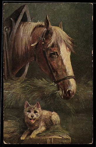 Künstler august müller - künstler-ak,