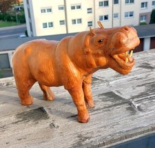Nilpferd Hippopotamus Aus
