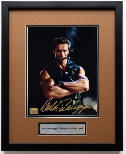 Arnold schwarzenegger - arnold,