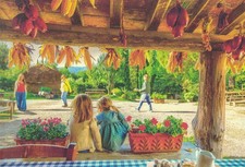 Fattoria La Vialla 2026