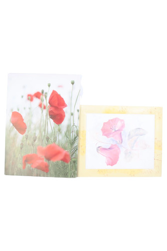 Bild blumen mohnblume - blumen,