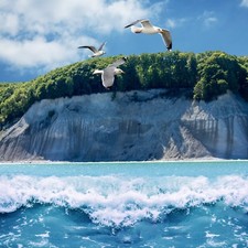 Rügen ostsee tage - rügen,
