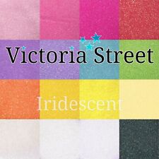 Pure Premium Glitzer 100g SCHILLERND Pastell Weinglas Feinhandwerk Glitzerpulver