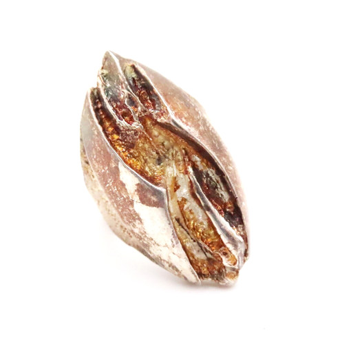 Tammen koru designer ring - designer,