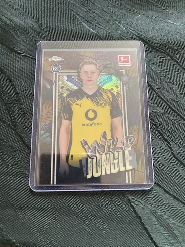 Daniel svensson wild jungle - svensson,