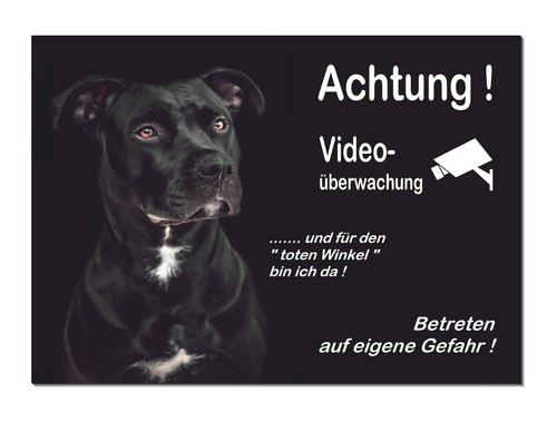 Pitbull-Hund-Aluminium-Video-?