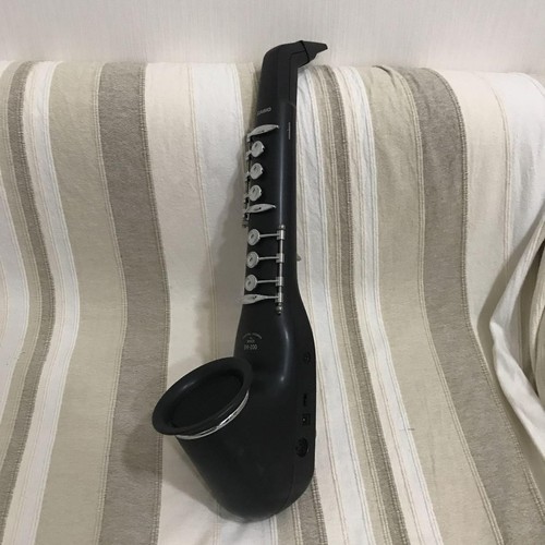 Casio digital horn 200 - casio, dh-200